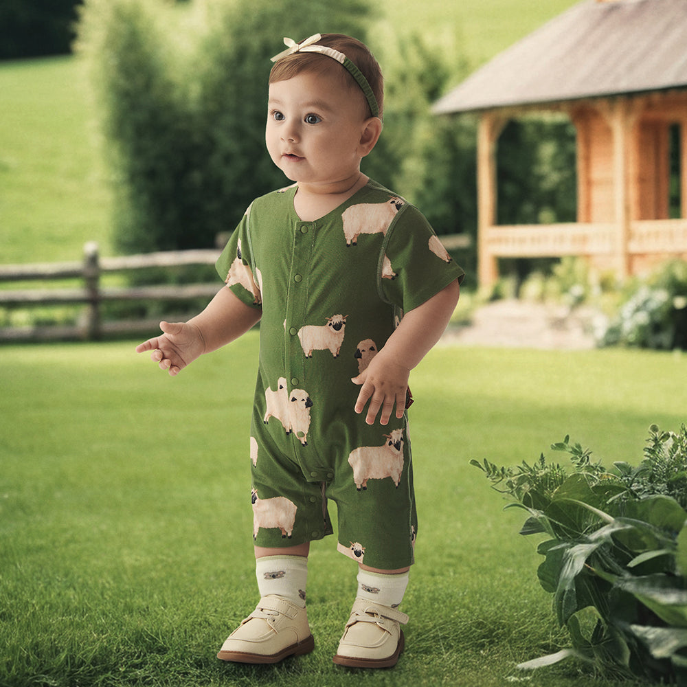 Romper in sheep