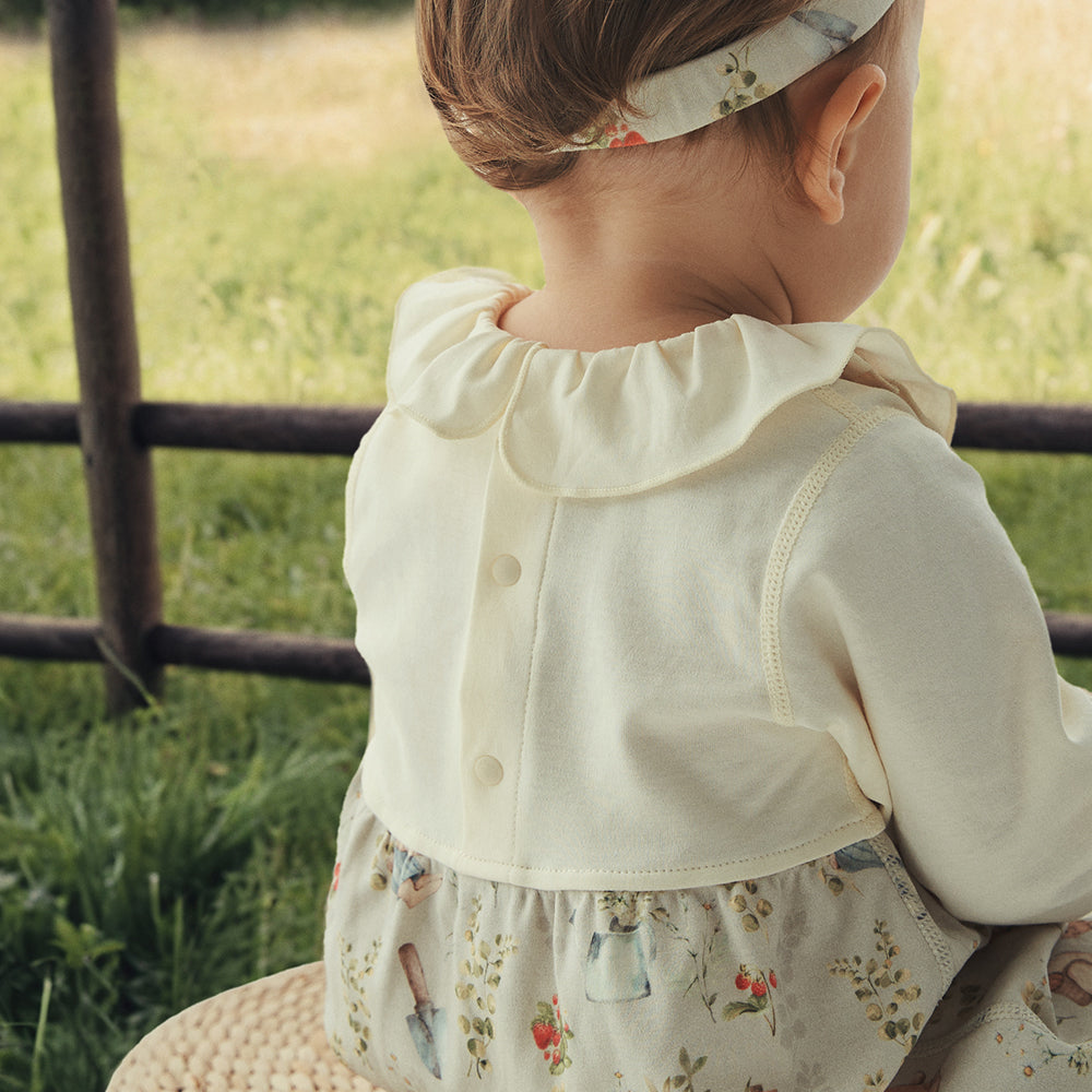 Bloomer——Mushroom