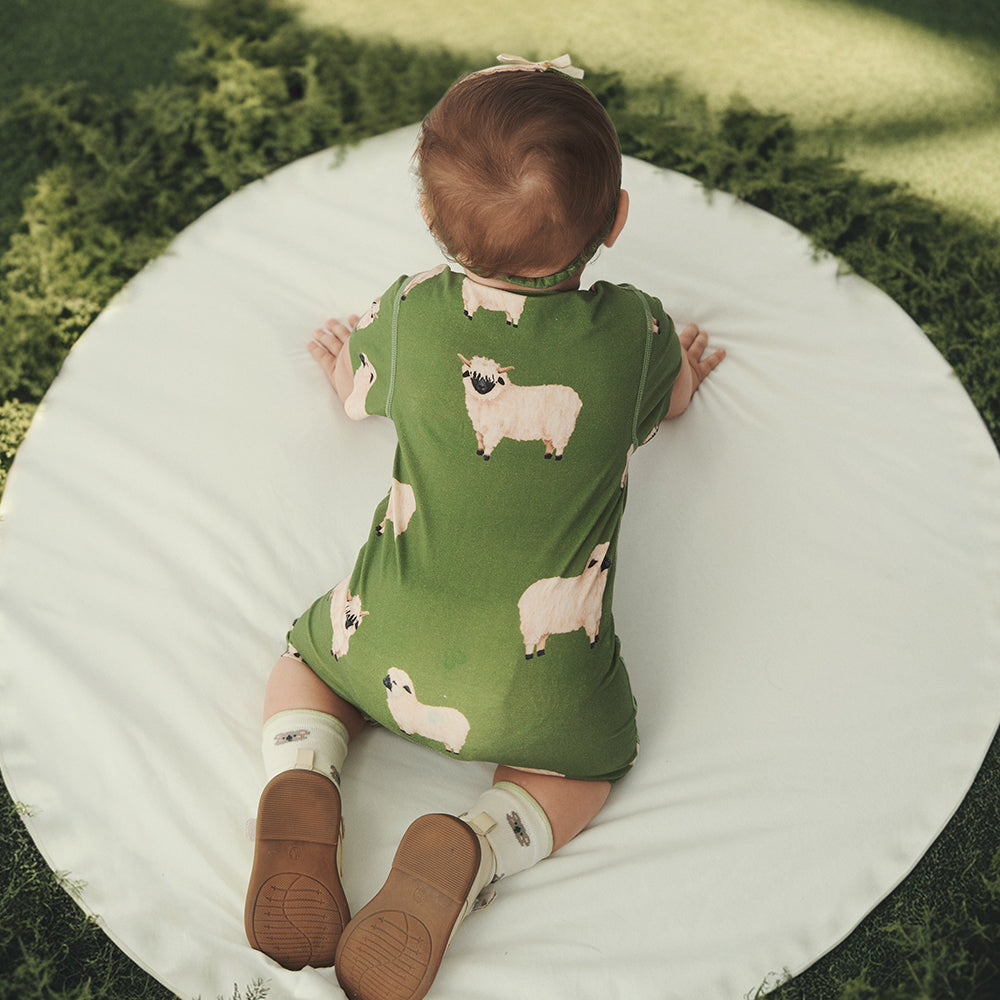 Romper in sheep