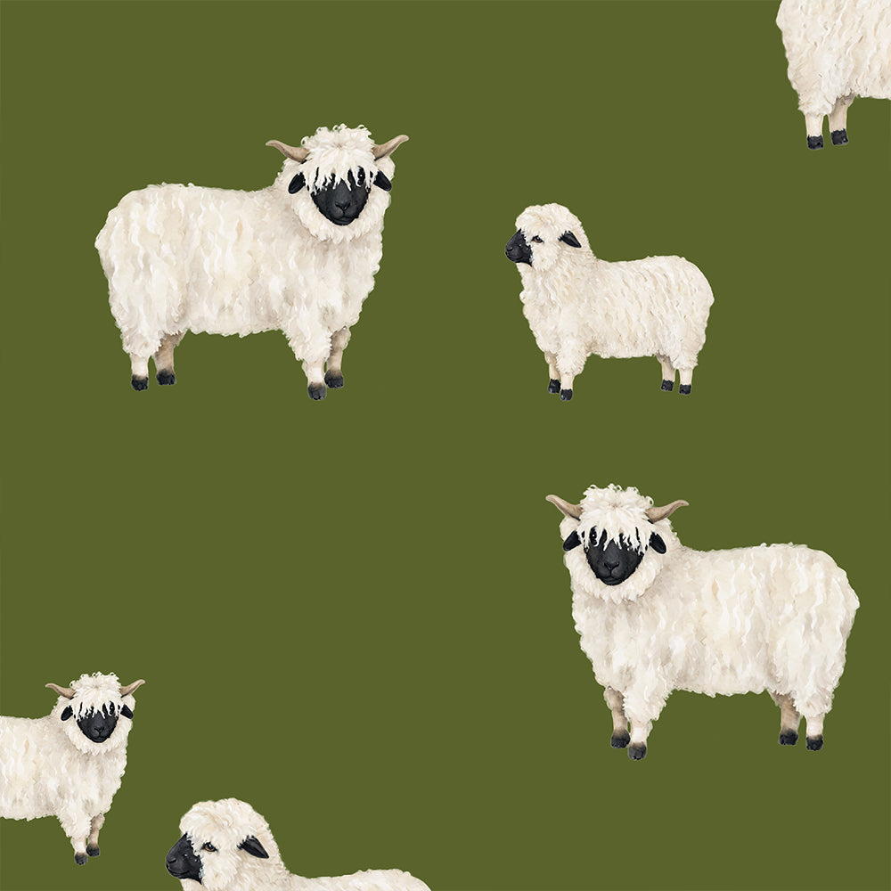 Bodysuit in Lenzing Modal Soft, classic essentials for every baby 3-18M