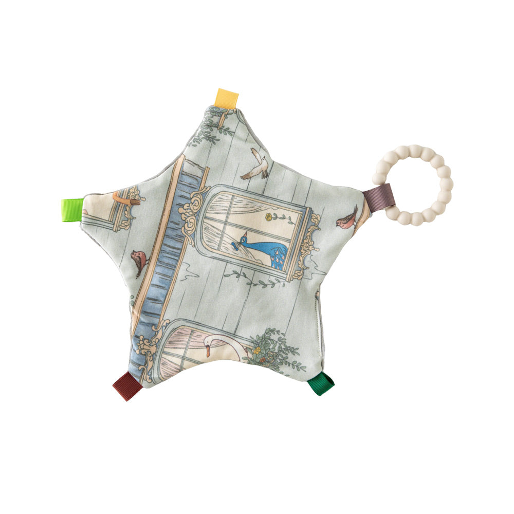 Star-Shaped Sensory Baby Lovey – 3D Minky Dots + Teething Ring | Soothing Blanket for 0–12M Babies