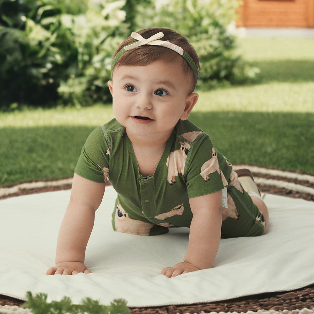 Romper in sheep