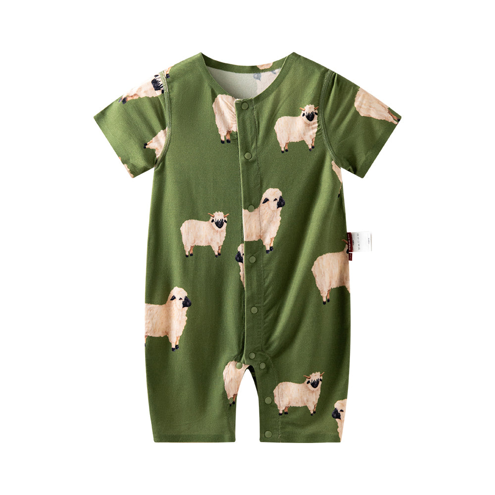 Romper in sheep
